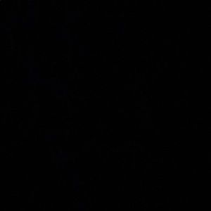 Meet your Posher, Harlem